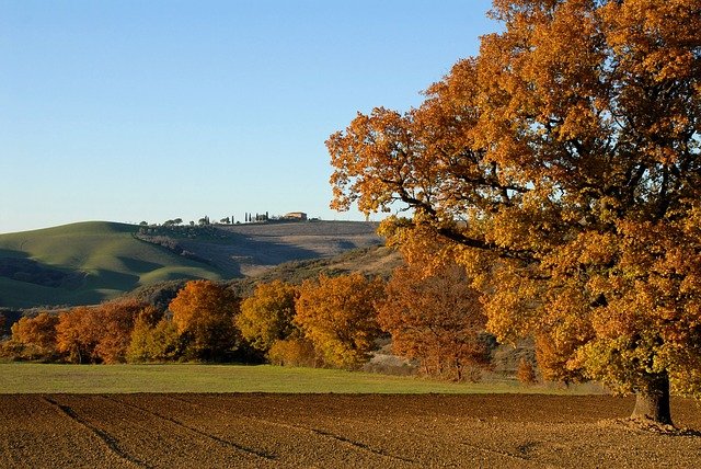 addizionale regionale emilia romagna 2020